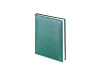 Ежедневник недатированный А6+ Velvet, зеленый, арт. 3-495.05 фото 1 — Бизнес Презент