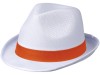 Лента для шляпы Trilby, оранжевый, арт. 38664330 фото 2 — Бизнес Презент