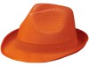 Лента для шляпы Trilby, оранжевый, арт. 38664330 фото 4 — Бизнес Презент