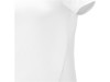 Kratos Женская футболка с короткими рукавами , белый, арт. 3902001XS фото 4 — Бизнес Презент
