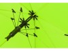 Зонт-трость Color полуавтомат, зеленое яблоко, арт. 989013 фото 4 — Бизнес Презент