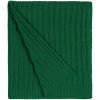 Плед Remit, темно-зеленый, арт. 12240.93 фото 1 — Бизнес Презент