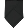 Шейный платок Bandana, черный, арт. 01198312TUN фото 2 — Бизнес Презент