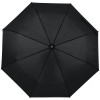 Зонт складной Monsoon, черный, арт. 14518.30 фото 1 — Бизнес Презент