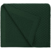 Плед Sheerness, темно-зеленый, арт. 14744.99 фото 1 — Бизнес Презент