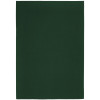 Плед Sheerness, темно-зеленый, арт. 14744.99 фото 2 — Бизнес Презент