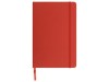 Подарочный набор Guardar, красный, арт. 7314.01 фото 12 — Бизнес Презент