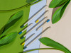 Набор растущих карандашей mini, 2 шт с семенами базилика и мяты, арт. 220253 фото 6 — Бизнес Презент