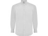 Рубашка Aifos мужская с длинным рукавом, белый, арт. 550401M фото 1 — Бизнес Презент