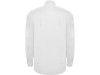 Рубашка Aifos мужская с длинным рукавом, белый, арт. 550401L фото 2 — Бизнес Презент