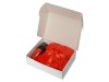 Подарочный набор с пледом, термокружкой и миндалем в шоколадной глазури Tasty hygge, красный, арт. 700346.01 фото 2 — Бизнес Презент