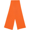 Шарф Life Explorer, оранжевый, арт. 11660.20 фото 9 — Бизнес Презент