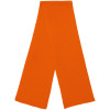 Шарф Life Explorer, оранжевый, арт. 11660.20 фото 3 — Бизнес Презент