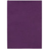 Ежедневник Flat, недатированный, фиолетовый, арт. 17893.70 фото 2 — Бизнес Презент