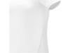 Женская стильная футболка поло с короткими рукавами Deimos, белый, арт. 3909501XS фото 5 — Бизнес Презент