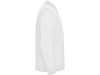 Рубашка поло Carpe детская с длинным рукавом, белый, арт. 50084PO01.3-4 фото 4 — Бизнес Презент