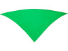Шейный платок FESTERO треугольной формы, ярко-зеленый, арт. PN900324 фото 1 — Бизнес Презент