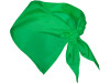Шейный платок FESTERO треугольной формы, ярко-зеленый, арт. PN900324 фото 2 — Бизнес Презент