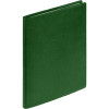 Ежедневник в суперобложке Brave Book, недатированный, зеленый, арт. 17709.90 фото 4 — Бизнес Презент