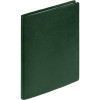 Ежедневник в суперобложке Brave Book, недатированный, зеленый, арт. 17709.90 фото 11 — Бизнес Презент