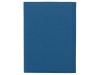 Обложка на магнитах для автодокументов и паспорта Favor, синяя, арт. 113602 фото 3 — Бизнес Презент