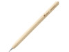 BIO. Шариковая ручка из дерева, Натуральный светлый, арт. 91291-150 фото 1 — Бизнес Презент