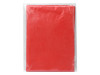 Дождевик Cloudy, красный, арт. 111025 фото 4 — Бизнес Презент
