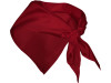 Шейный платок FESTERO треугольной формы, гранат, арт. PN900357 фото 2 — Бизнес Презент