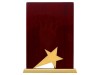 Награда Galaxy с золотой звездой, дерево, металл, в подарочной упаковке, арт. 602205 фото 2 — Бизнес Презент