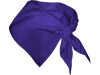 Шейный платок FESTERO треугольной формы, лиловый, арт. PN900363 фото 2 — Бизнес Презент