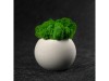 Кашпо бетонное со мхом (сфера-цирконмох зеленый), арт. 4500608 фото 3 — Бизнес Презент