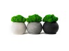Кашпо бетонное со мхом (сфера-цирконмох зеленый), арт. 4500608 фото 7 — Бизнес Презент