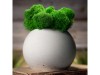 Кашпо бетонное со мхом (сфера-цирконмох зеленый), арт. 4500608 фото 9 — Бизнес Презент