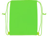 Рюкзак-холодильник Фрио, зеленое яблоко 7488С, арт. 933933 фото 2 — Бизнес Презент