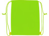 Рюкзак-холодильник Фрио, зеленое яблоко 7488С, арт. 933933 фото 3 — Бизнес Презент