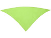 Шейный платок FESTERO треугольной формы, зеленое яблоко, арт. PN900369 фото 1 — Бизнес Презент