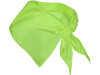 Шейный платок FESTERO треугольной формы, зеленое яблоко, арт. PN900369 фото 2 — Бизнес Презент