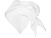 Шейный платок FESTERO треугольной формы, белый, арт. PN900301 фото 2 — Бизнес Презент