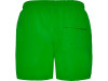 Плавательные шорты Aqua, папоротниковый, арт. 6716BN226M фото 2 — Бизнес Презент