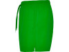 Плавательные шорты Aqua, папоротниковый, арт. 6716BN226M фото 3 — Бизнес Презент