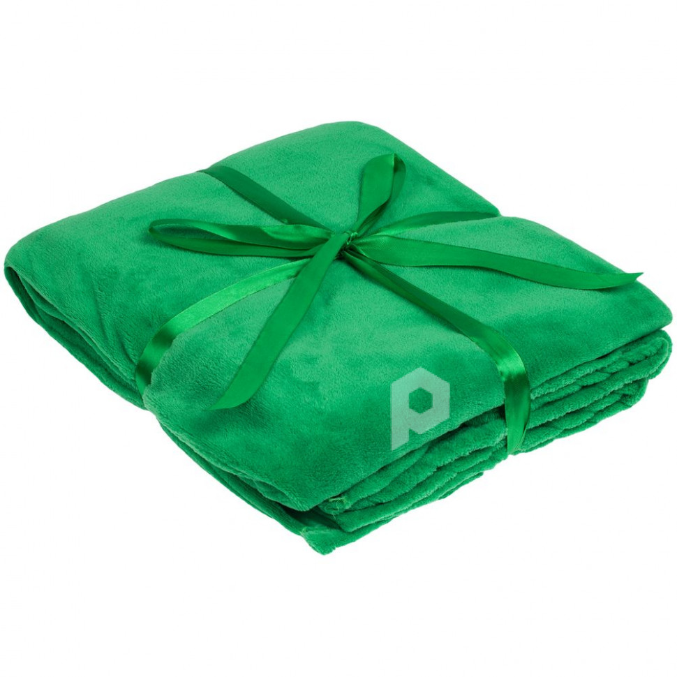 Плед Plush, зеленый, арт. 14732.90 фото 1 — Бизнес Презент