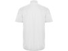 Рубашка Aifos мужская с коротким рукавом,  белый, арт. 550301S фото 2 — Бизнес Презент