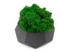 Кашпо бетонное со мхом (альфа-антрацит мох зеленый), QRONA, арт. 4500609 фото 3 — Бизнес Презент