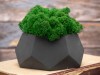 Кашпо бетонное со мхом (альфа-антрацит мох зеленый), QRONA, арт. 4500609 фото 4 — Бизнес Презент