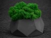 Кашпо бетонное со мхом (альфа-антрацит мох зеленый), QRONA, арт. 4500609 фото 5 — Бизнес Презент