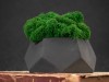 Кашпо бетонное со мхом (альфа-антрацит мох зеленый), QRONA, арт. 4500609 фото 6 — Бизнес Презент