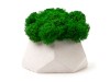 Кашпо бетонное со мхом (альфа-циркон мох зеленый), QRONA, арт. 4500610 фото 2 — Бизнес Презент
