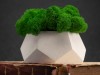 Кашпо бетонное со мхом (альфа-циркон мох зеленый), QRONA, арт. 4500610 фото 4 — Бизнес Презент