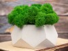 Кашпо бетонное со мхом (альфа-циркон мох зеленый), QRONA, арт. 4500610 фото 6 — Бизнес Презент