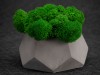 Кашпо бетонное со мхом (альфа-маренго мох зеленый), QRONA, арт. 4500611 фото 4 — Бизнес Презент